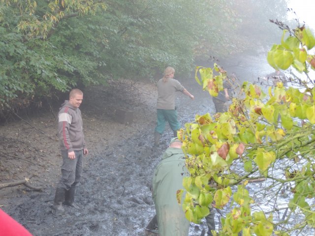 Výlov Dlouhé 2014